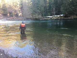 SantiamRiverOregonSpill_WQMonitoring_ByEPAReg10_02.18.20.jpg